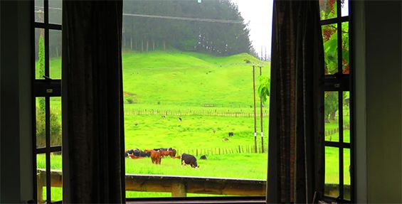 self-contained chalet view