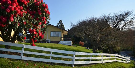 waitomo big bird retreat