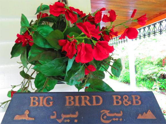Big Bird B&B